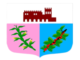 Brasão do Município